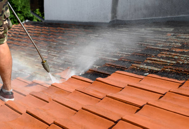 Best Local Pressure Washing Services  in Niles, OH