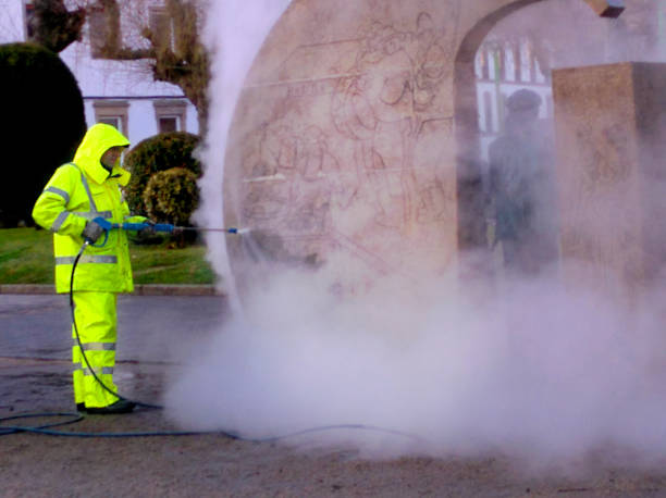 Best Roof Pressure Washing  in Niles, OH