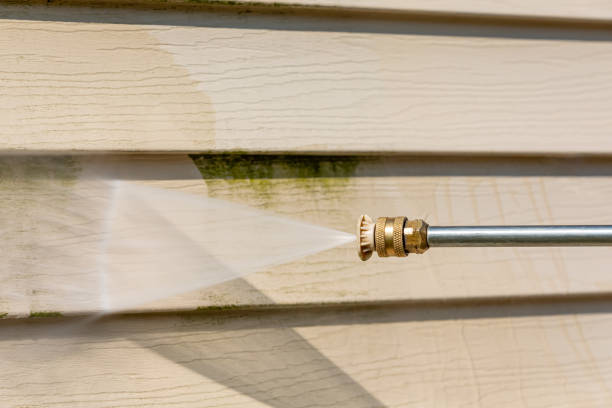 Best Deck Cleaning Services  in Niles, OH