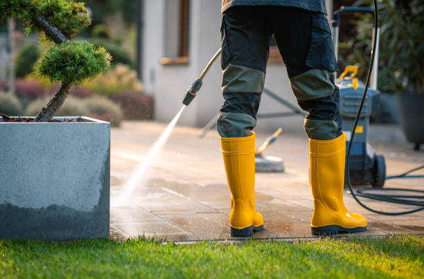Best Roof Power Washing Services  in Niles, OH